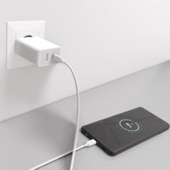 Laddare och kablar - Strömadapter med USB-C PD (Power Delivery) 25W, snabbladdning
