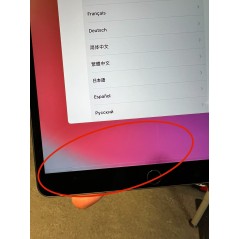 iPad surfplatta - iPad Air 3 256GB 4G LTE Space Gray (beg med pixellinjer på skärmen)