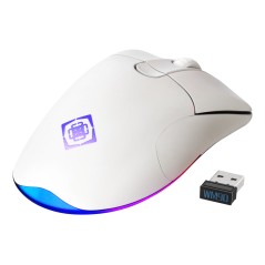 Gamingmus - Deltaco Gaming WM90 trådlös gamingmus (Prisbelönad hos Sweclockers)