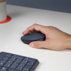 Trådlös mus - Logitech M170 trådlös kompakt mus