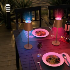Utomhusbelysning - Laddningsbar bordslampa med RGB för inom- och utomhusbruk, dimbar (svart/vit/brons)