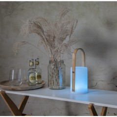 Utomhusbelysning - Laddningsbar lykta & bordslampa för inom- och utomhusbruk 26cm