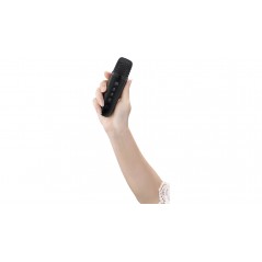Trådlös bluetooth-högtalare - Andersson bärbar högtalare med trådlös mikrofon för karaoke