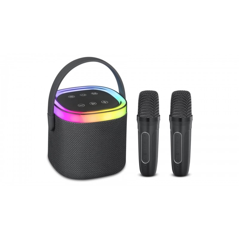 Trådlös bluetooth-högtalare - Andersson bärbar högtalare med 2 trådlösa mikrofoner för karaoke