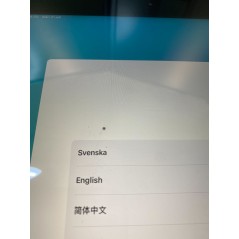 Apple iPad 8th Gen (2020) 10.2" 128GB Wi-Fi + 4G Space Gray (beg med pixel, se bilder)