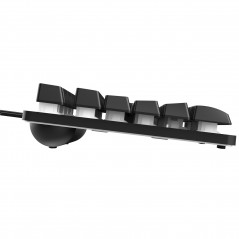 Bakgrundsbelyst tangentbord gaming - Trust GXT 833 Thado TKL kompakt gamingtangentbord med belysning (svart)