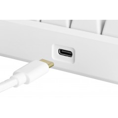 Bakgrundsbelyst tangentbord gaming - Deltaco GAM-075-W superkompakt 60% gamingtangentbord med RGB-belysning (fyndvara)