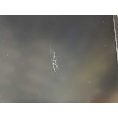 Laptop 14" beg - HP ProBook 440 G6 14" Full HD i5 8GB 256SSD Win 11 Pro (beg med märke skärm och chassispricka)