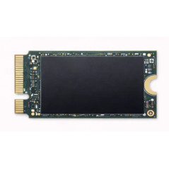 256 GB M.2 2242 NVMe SSD-hårddisk (beg)