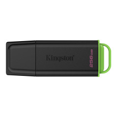 Kingston DataTraveler Exodia USB 3.2 Gen 1 USB-minne 256GB