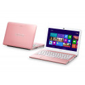 Sony Vaio SVE1113M1EP demo
