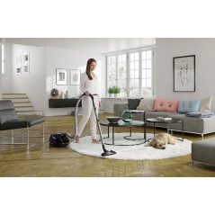 Dammsugare - Electrolux Dammsugare SilentPerformer Green