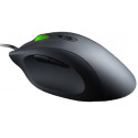 Mionix spelmus