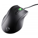 Mionix spelmus