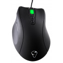 Mionix spelmus