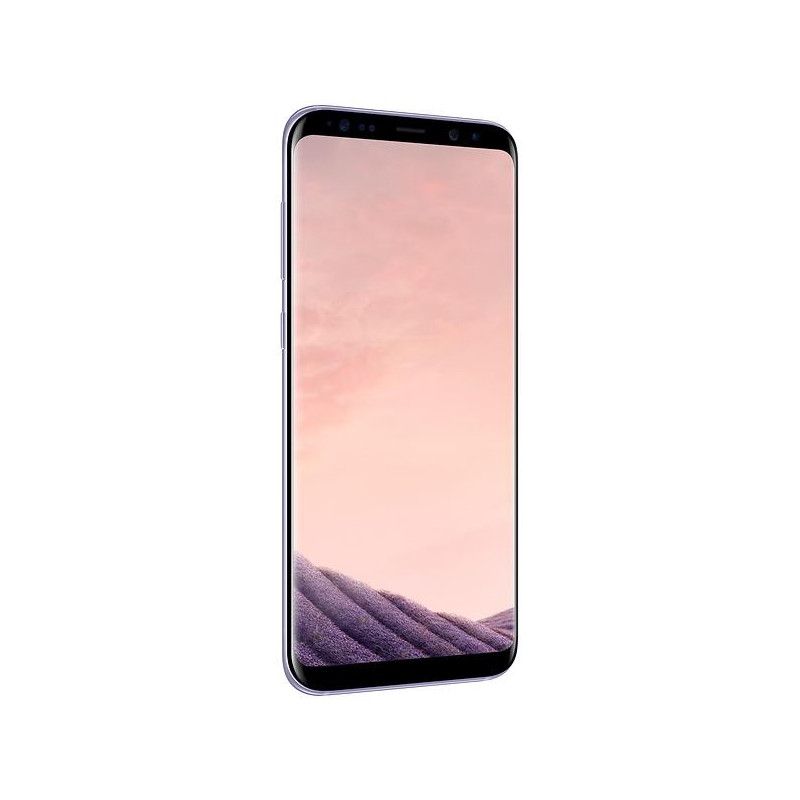 Galaxy S8 - Samsung Galaxy S8 Plus 64GB Orchid Gray (VMB)
