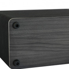 Högtalare - Champion AWF320 trådlös högtalare (Medium)