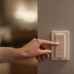 Belysning - Philips Hue Dimmer Switch (bulk)