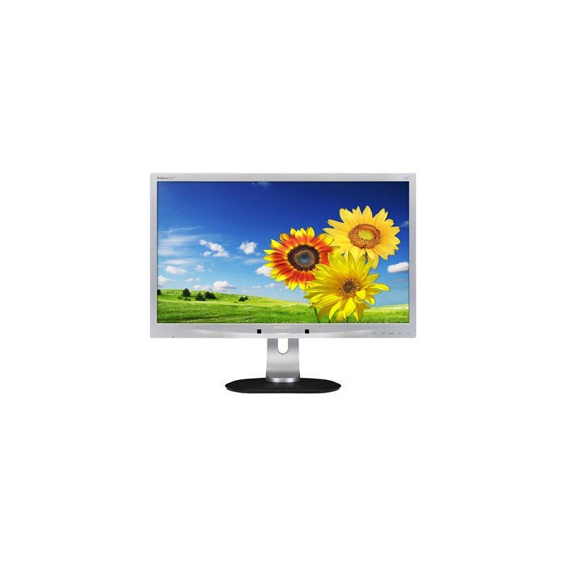 Skärmar begagnade - Philips 22" LCD-skärm (beg)