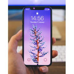 iPhone begagnad - iPhone X 256GB Silver (beg)
