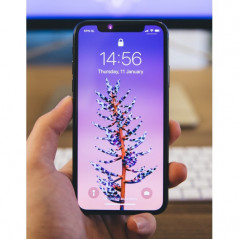 iPhone begagnad - iPhone XS Max 64GB Rymdgrå (beg)