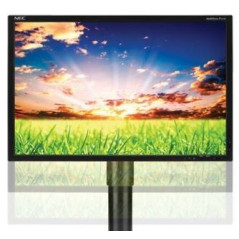 Skärmar begagnade - NEC MultiSync 22" LCD-skärm med HP-fot (beg)
