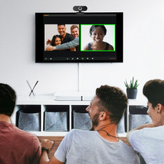 Webbkamera - Webbkamera Logilink Webcam HD 720p med inbyggd mikrofon